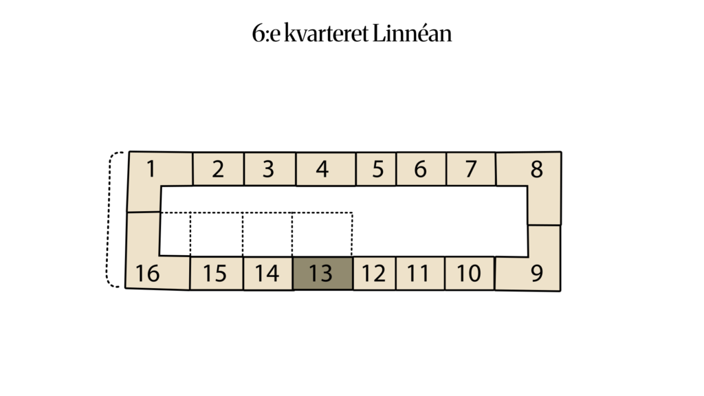 6:e kvarteret Linnéan 6:13