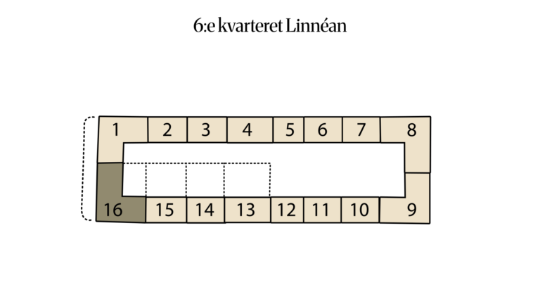 6:e kvarteret Linnéan 6:16