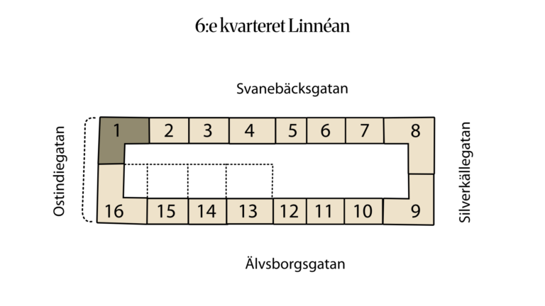 6:e kvarteret Linnéan 6:18 (1)