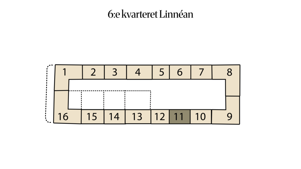 6:e kvarteret Linnéan 6:18 (11)