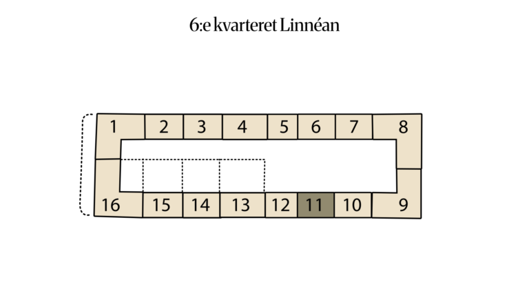 6:e kvarteret Linnéan 6:18 (11)