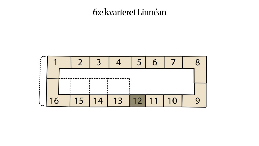 6:e kvarteret Linnéan 6:18 (12)