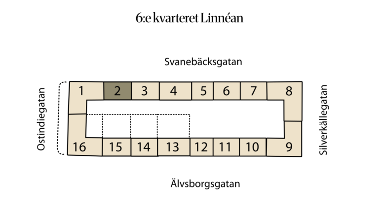 6:e kvarteret Linnéan 6:18 (2)