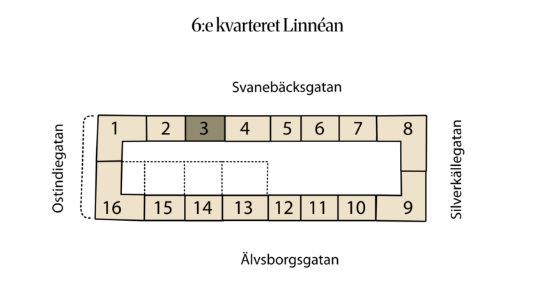 6:e kvarteret Linnéan 6:18 (3)
