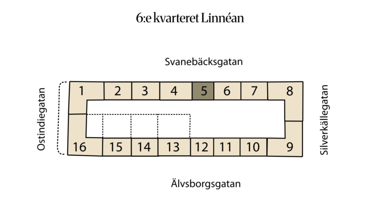 6:e kvarteret Linnéan 6:18 (5)