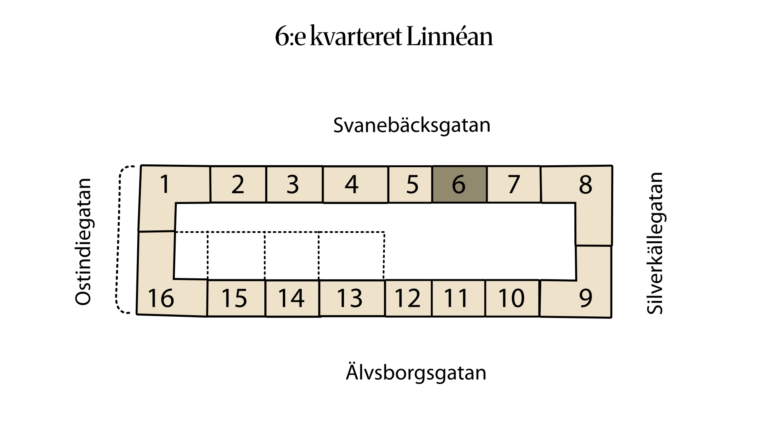 6:e kvarteret Linnéan 6:18 (6)