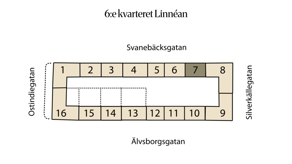 6:e kvarteret Linnéan 6:18 (7)