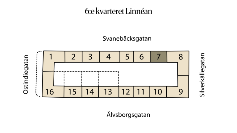 6:e kvarteret Linnéan 6:18 (7)