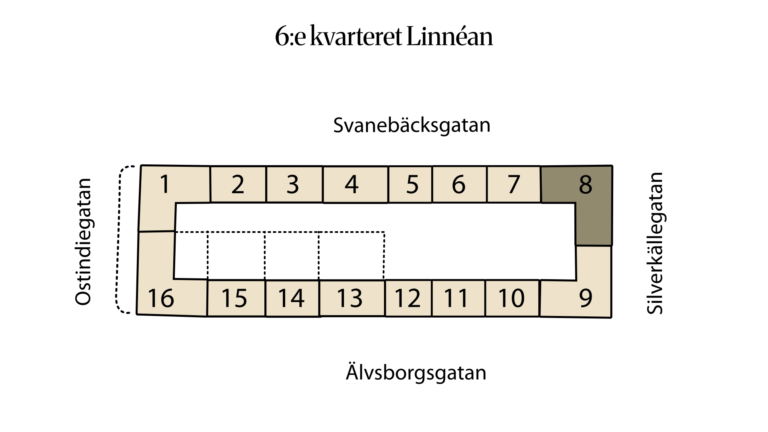 6:e kvarteret Linnéan 6:18 (8)
