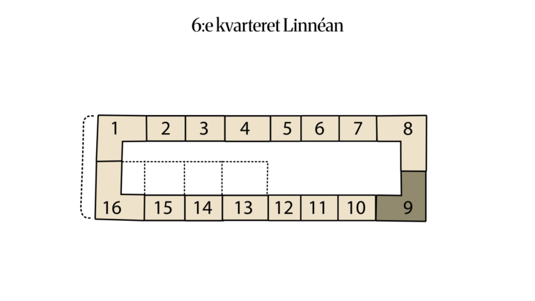 6:e kvarteret Linnéan 6:18 (9)